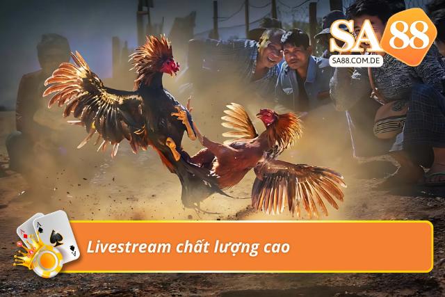 Hình ảnh livestream các trận đấu đẳng cấp