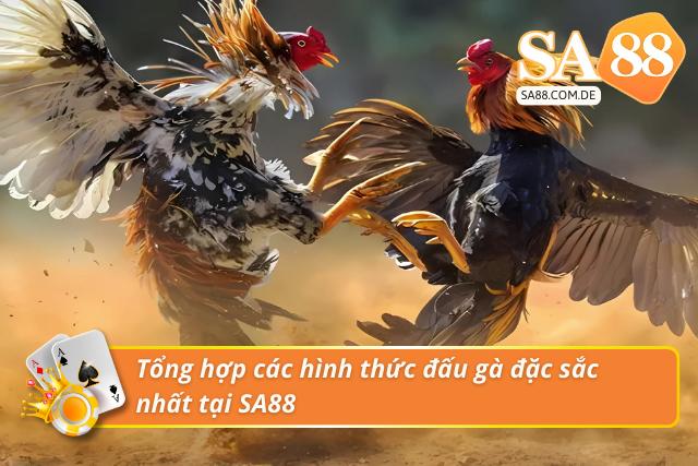Khám phá các loại hình đấu gà hấp dẫn tại SA88